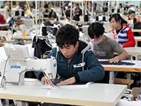 Công Nhân May Hoặc Lao Động Phổ Thông Để Đào Tạo Thợ May